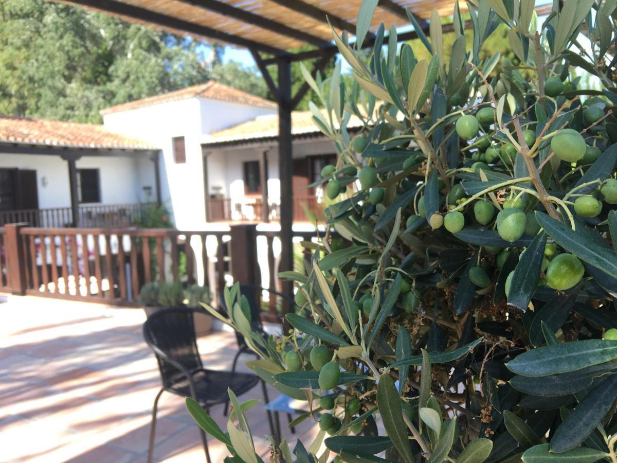 El Molino Estepona Extérieur photo